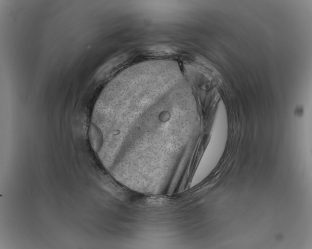 X0000090880762200708171645