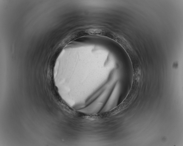 X0000090880763200708171645