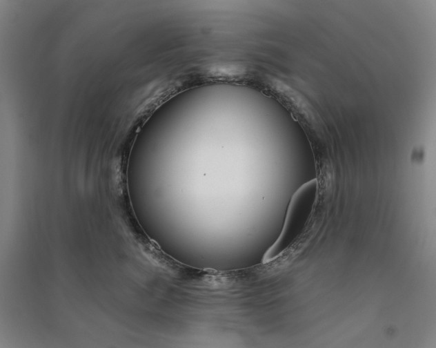 X0000090880764200708171645