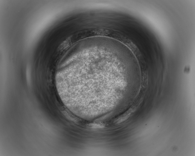 X0000090880765200708171645