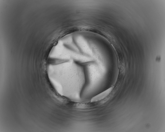 X0000090880766200708171645