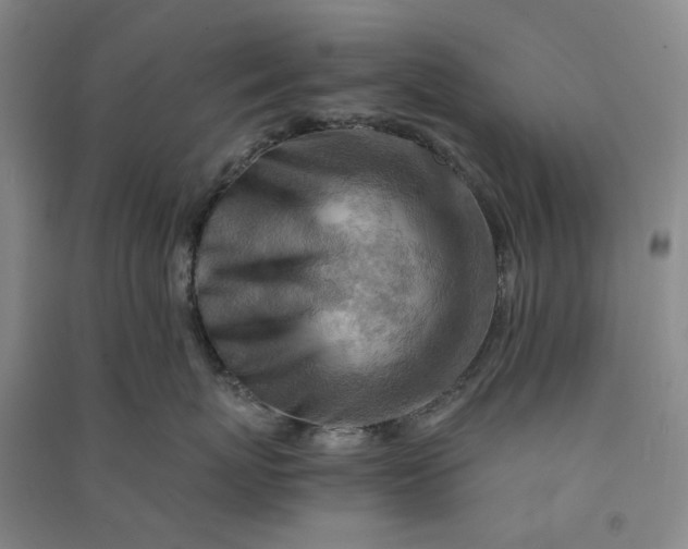 X0000090880767200708171645