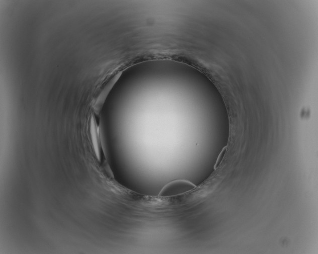 X0000090880768200708171645