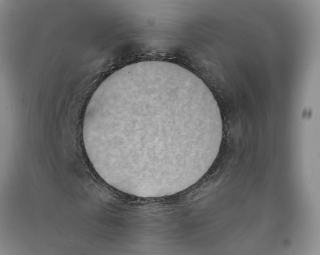 X0000090880769200708171645