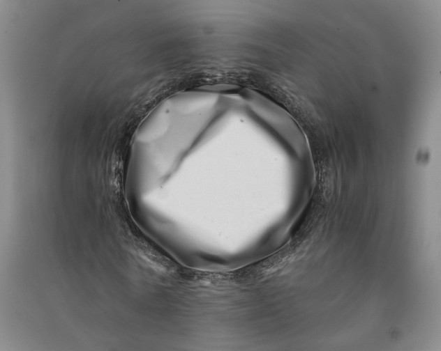 X0000090880770200708171645