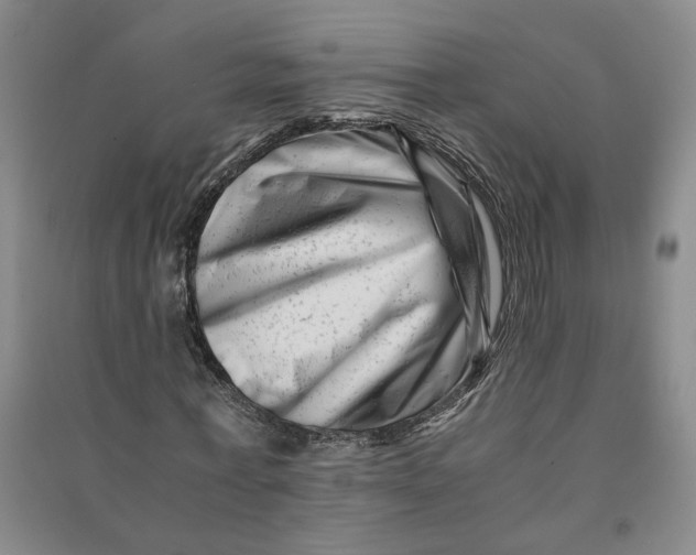 X0000090880771200708171645