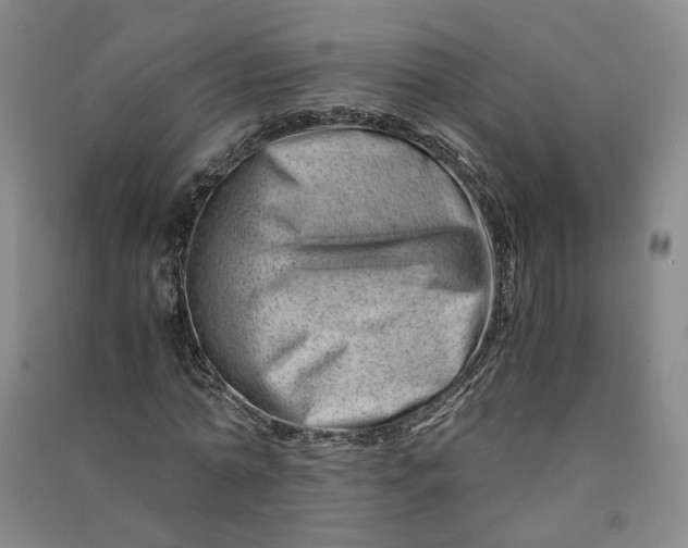 X0000090880774200708171645