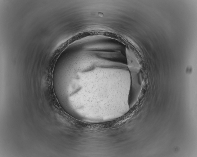 X0000090880775200708171645