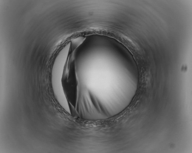 X0000090880776200708171645