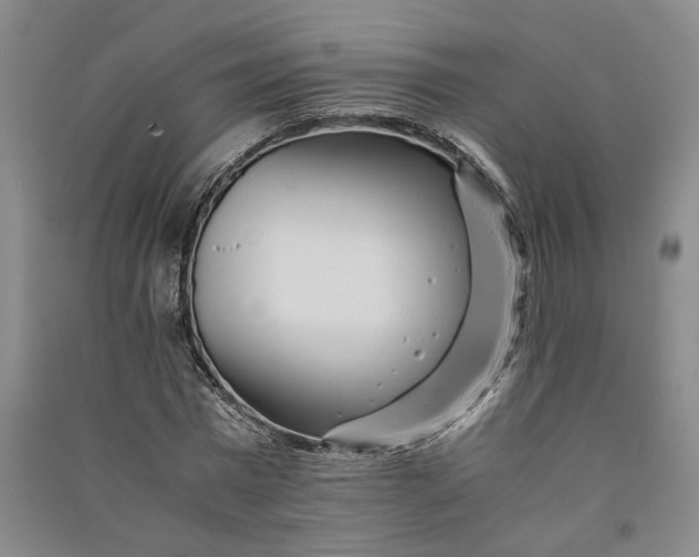 X0000090880777200708171645