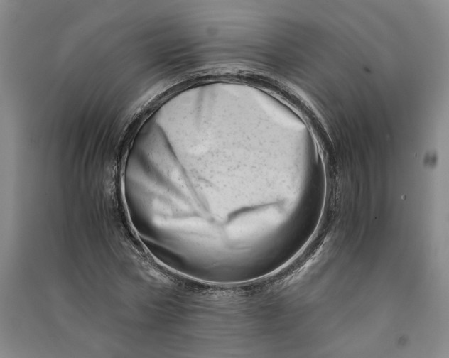 X0000090880778200708171645