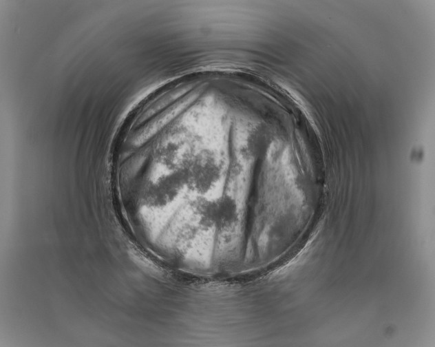 X0000090880779200708171645