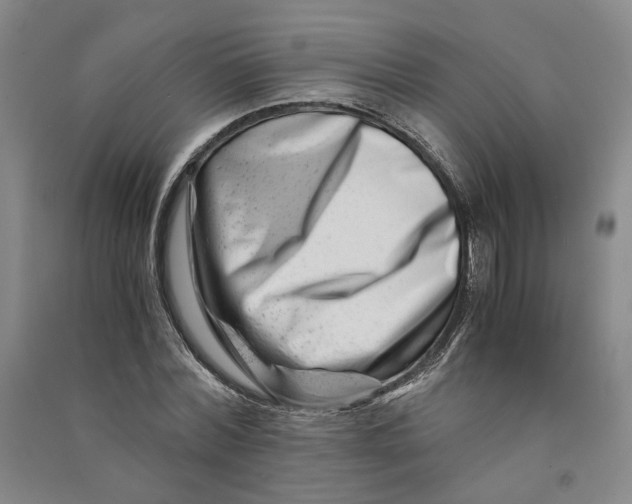 X0000090880780200708171645