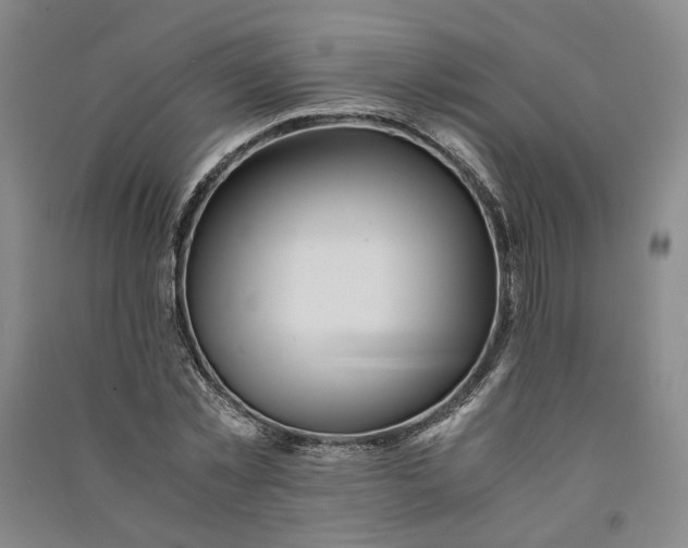 X0000090880781200708171645