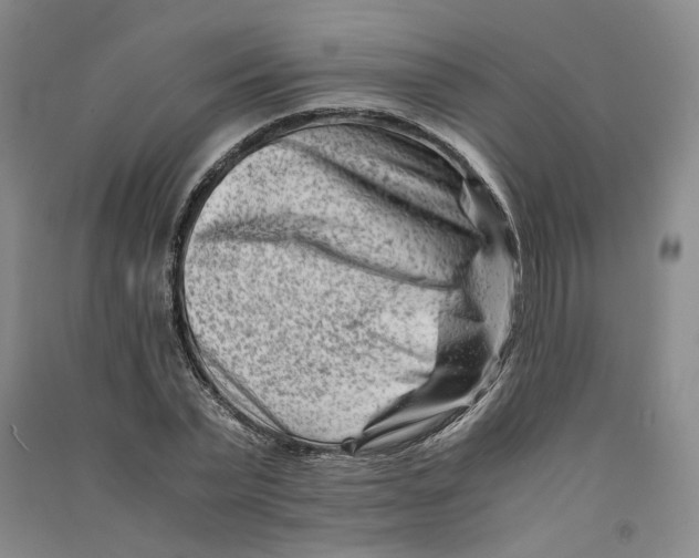 X0000090880783200708171645