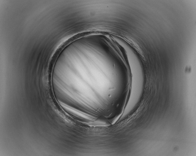 X0000090880784200708171645