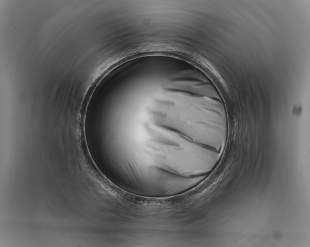 X0000090880786200708171645