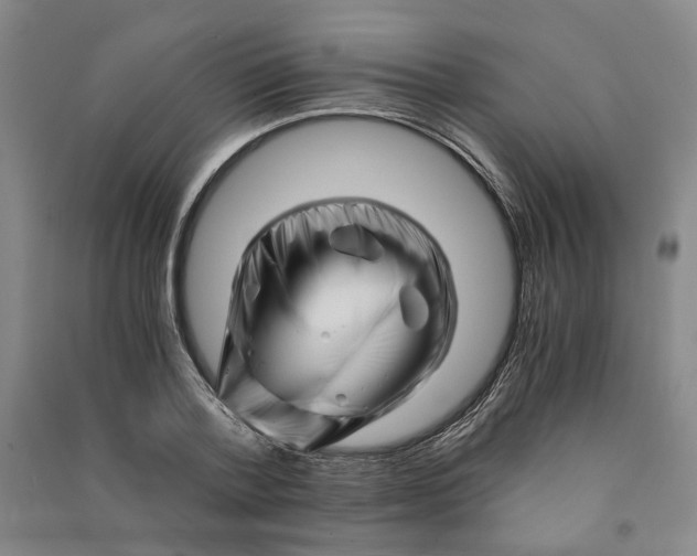 X0000090880788200708171645