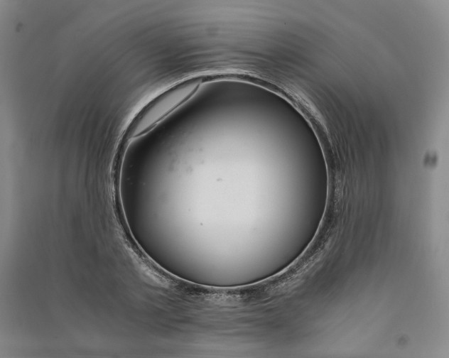 X0000090880789200708171645