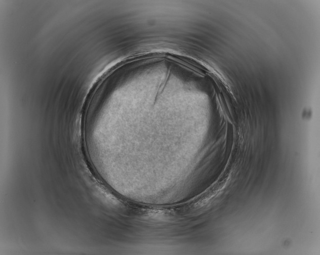 X0000090880790200708171645