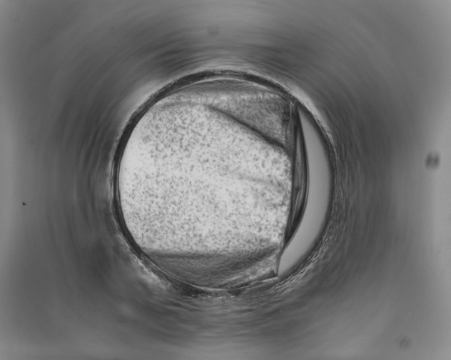 X0000090880791200708171645