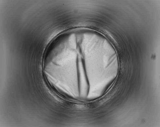 X0000090880794200708171644