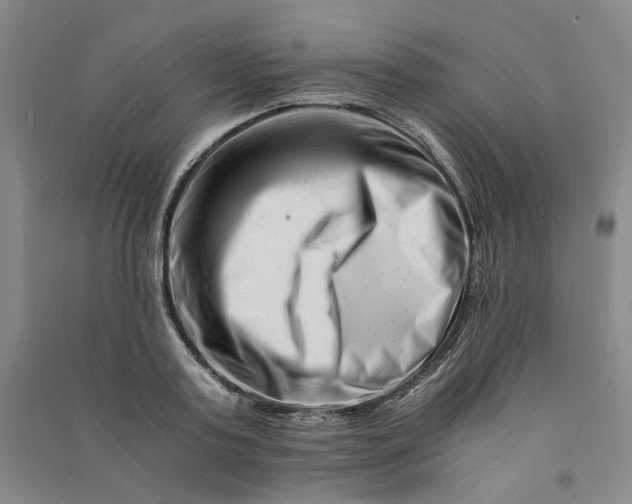 X0000090880795200708171644