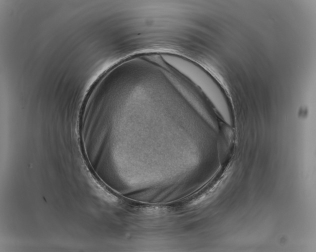 X0000090880797200708171644