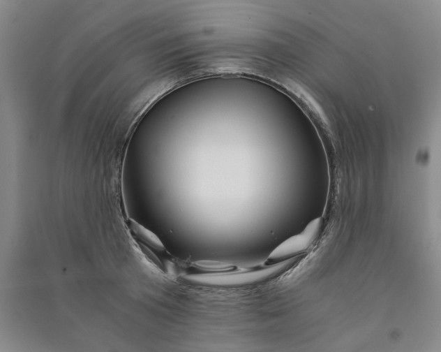 X0000090880801200708171644