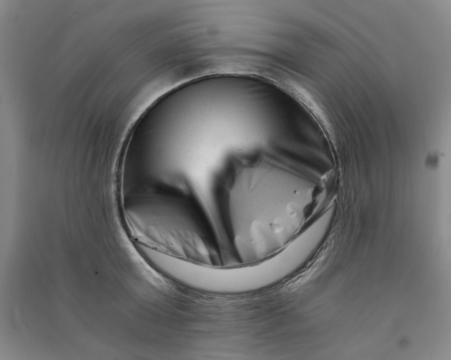 X0000090880803200708171644