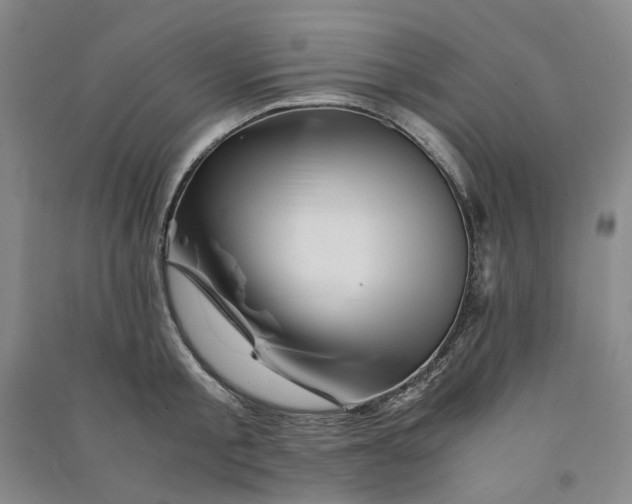 X0000090880805200708171644