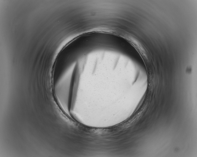 X0000090880808200708171644