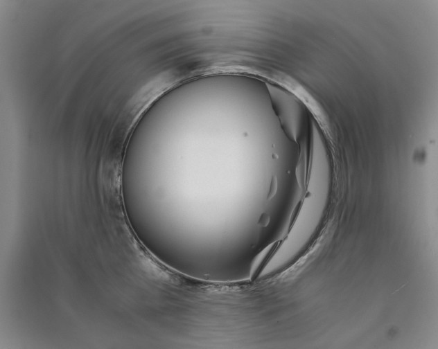 X0000090880809200708171644