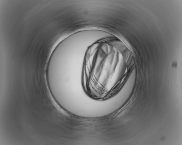 X0000090880813200708171644