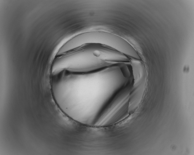 X0000090880816200708171644