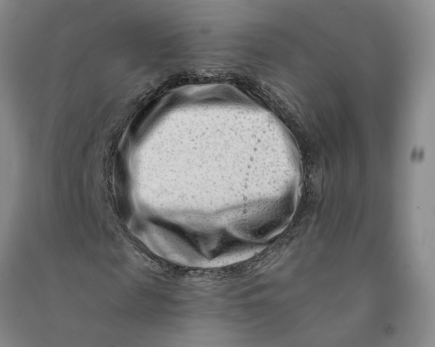 X0000090880817200708171644