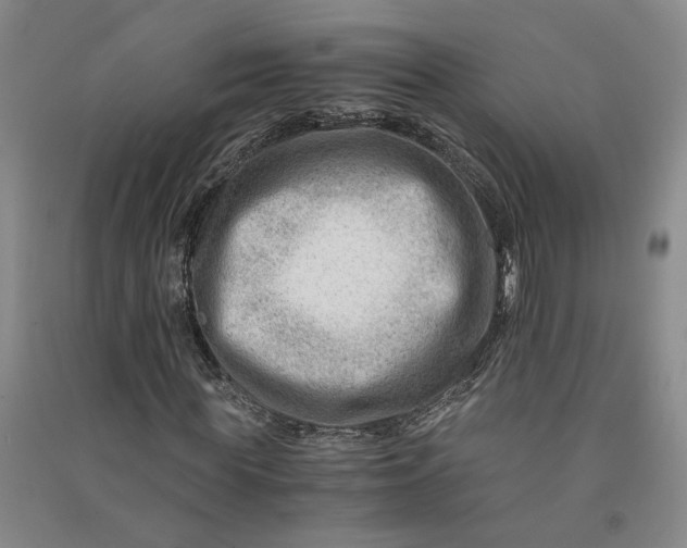 X0000090880819200708171644