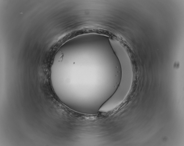 X0000090880822200708171644