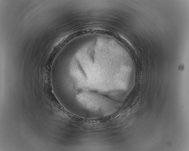 X0000090880823200708171644