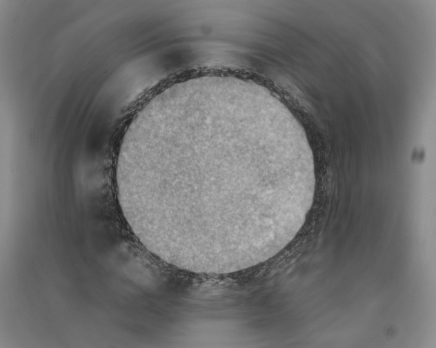 X0000090880824200708171644