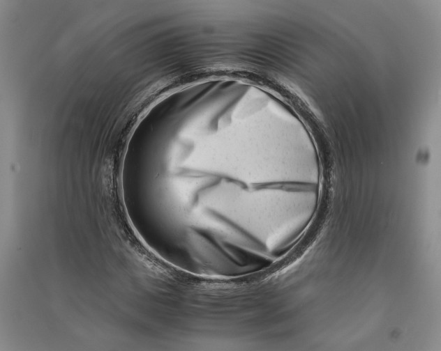 X0000090880825200708171644