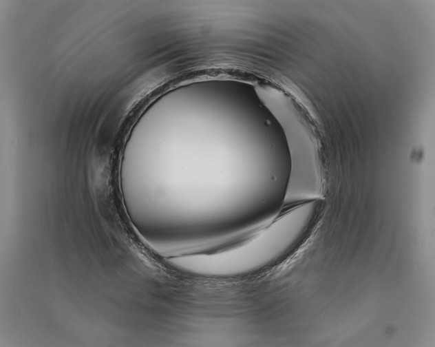 X0000090880826200708171644
