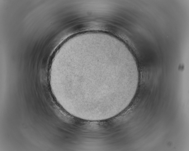 X0000090880828200708171644