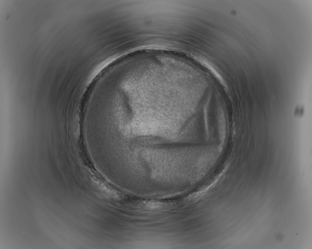 X0000090880829200708171644
