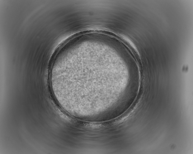 X0000090880831200708171644