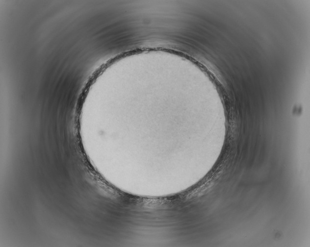 X0000090880832200708171644