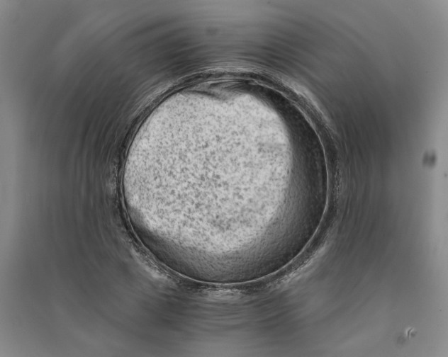 X0000090880833200708171644