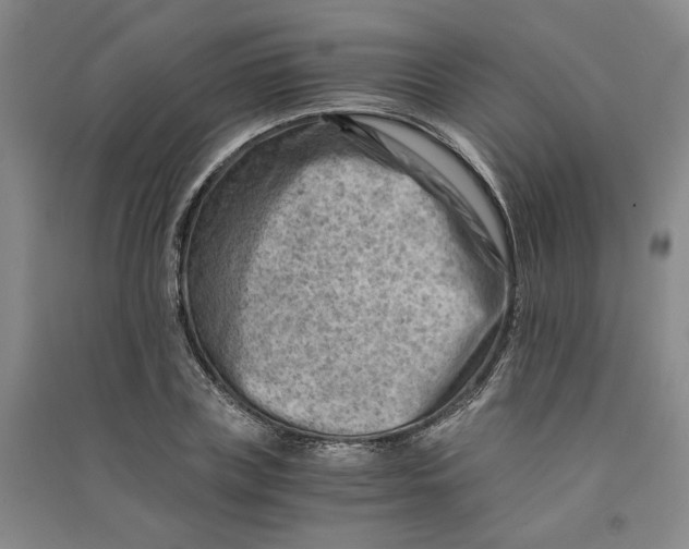 X0000090880835200708171644