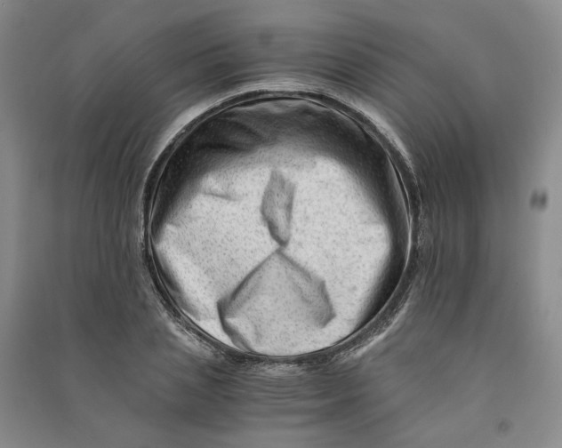 X0000090880837200708171644