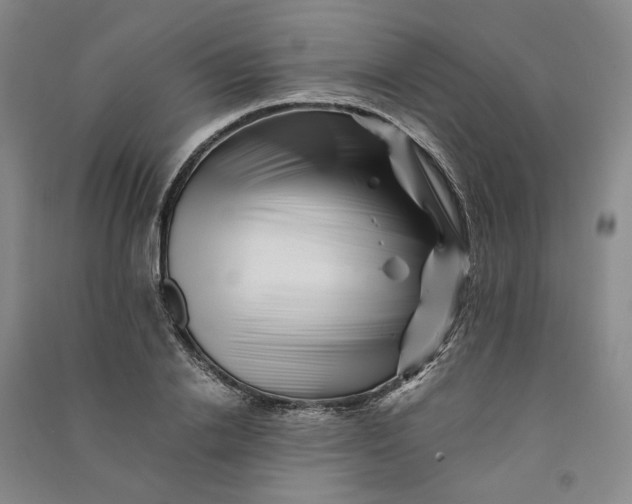 X0000090880838200708171644